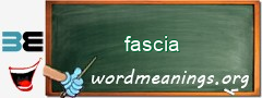 WordMeaning blackboard for fascia